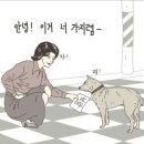 공감 이미지
