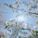 천수목장 | 순천 현지인이 처음 가본 순천왜성 솔직 후기