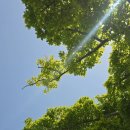 삼락생태공원 오토캠핑장 이미지