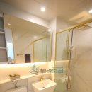 렉스타워 이미지