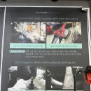 온리1프리미엄 스팀세차 | [파주 스팀세차 추천] 치카치카 팩토리 디테일링 손세차 완벽 솔직 후기