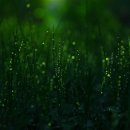 만나의집 이미지