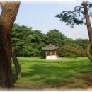 이순신 묘 이미지