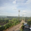 더썸플러스수산2 이미지