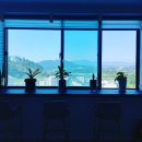 주말요가 이미지