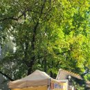 용현주공아파트앞 이미지