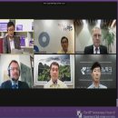 박성일 카카오 검색결과