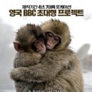 원라이프 이미지
