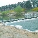 덕진구청 이미지