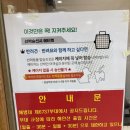 답동민박 | [등대스탬프투어] 3-(3) 소청도 답동선착장 (소청도에서 백령도 가기)