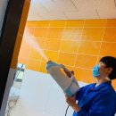 비룡체육관 이미지