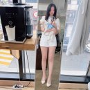 뽀짝뽀짝 애견 미용실 | 대전 탄방동 미용실 퍼스널컬러 염색 솔직후기 &#39;비비엔느 헤어살롱&#39;
