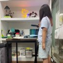 프라하동물병원 이미지