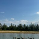 바구니 식당 이미지