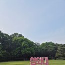 금강산금방 주변 | 청와대 관람 예약 방법, 이것만 알면 끝!(초등아이와 방문 후기)