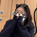 요전골 | Thank you for the happiest year of my life