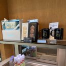 이동항 | 기장 오션뷰 카페 파스쿠찌 일광이동항점, 젤라또 티라미수 카페라떼 말차쉐이크 후기