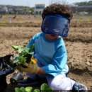 만이농장 이미지