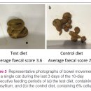 Healthy Cat 이미지
