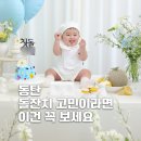 아트블랑 | 동탄 돌잔치 고민하다 여기로 결정한 이유 (블랑드아트갤러리 솔직 후기)