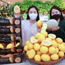 성주복사 이미지