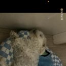 강남대로97길 32 이미지