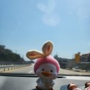 속초 짬뽕의 신 불향맛짬뽕