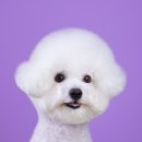 위티스튜디오 이미지