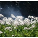 어느 날 오후 이미지