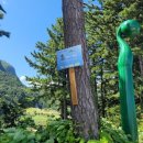 스테이 섬씽 울릉도 이미지