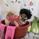 금촌유치원 이미지