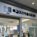 아라동물병원 | 부천동물병원 옥길아라동물의료센터 | 강아지 VIP 건강검진 후기