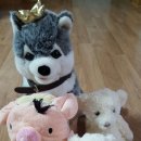 삼화세탁마을 이미지