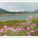 통나무산장