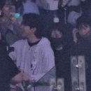 김가영헤어갤러리 | 데이식스 벚꽃콘 후기🌸