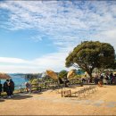 바다샌드 이미지