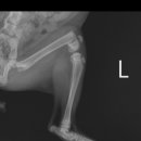 조치원메디컬센터 이미지