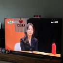 영카 손세차 이미지