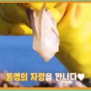 굴자랑식당 네이버블로그