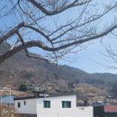 카페흙갤리
