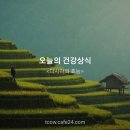 다시마의 효능 이미지