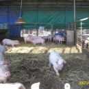 강산자연농장 이미지