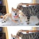 소근소근 이미지