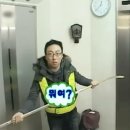 또왕또왕 Dog Salon | 머리 망해서 내 세상이 무너졌다