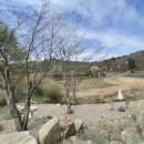 펜션 무이 | 평창 펜션무이 후기 – 자연과 따뜻한 공간이 어우러진 하루🌿