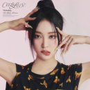 조아(ZOA) 이미지