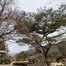 서운동산펜션 | 포천 서운동산 펜션 이용 후기(+동물 먹이주기 체험)