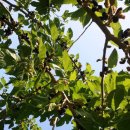 준영이네농장 이미지