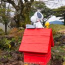 Happiness puppy | 제주 겨울 아이와 가볼만한곳 제주도 스누피가든 입장료 할인