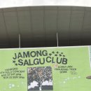 자몽 | 250503_한로로 콘서트 [자몽살구클럽] 후기